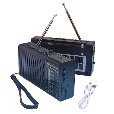 Radio Parlante Cafini CN R36FM BT